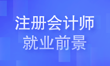 【答疑】考下CPA之后除了去事務(wù)所 還能做什么？
