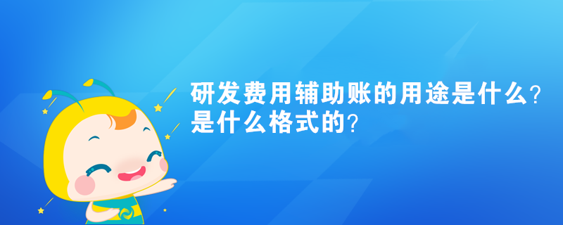 研發費用輔助賬的用途是什么？是什么格式的？
