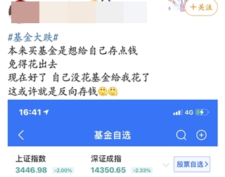 #基金大跌#買啥虧啥！今天的你“綠”了嗎？