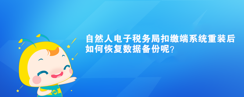 自然人電子稅務局扣繳端系統重裝后如何恢復數據備份呢？