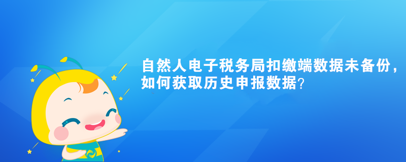 自然人電子稅務局扣繳端數據未備份，如何獲取歷史申報數據？
