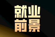 注冊(cè)會(huì)計(jì)師有哪些崗位選擇和發(fā)展路線(xiàn)？