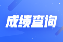 證券從業考試成績查詢時間