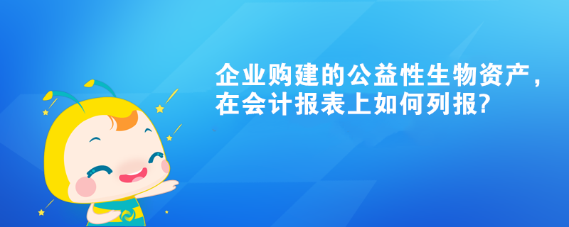 企業購建的公益性生物資產，在會計報表上如何列報?