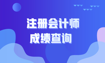 湖南永州注冊會計師查分時間來啦！