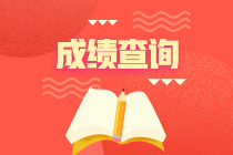 稅務師考試成績查詢網址是什么？在哪里能查到成績？