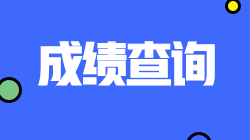 西藏注會考試查分時(shí)間已確定