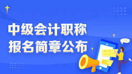 2023中級會計職稱資格審核材料