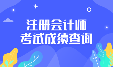 【廣西南寧】注會查分系統開放時間