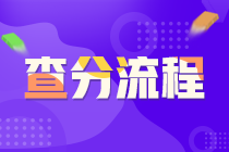 武漢市證券從業(yè)資格考試查分流程？