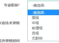 專業職稱