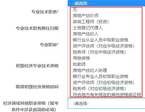 其他職業資格