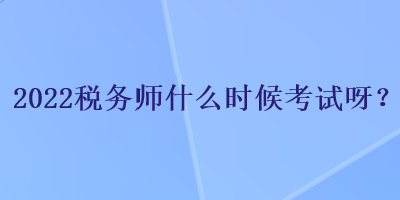 2022稅務師什么時候考試呀？