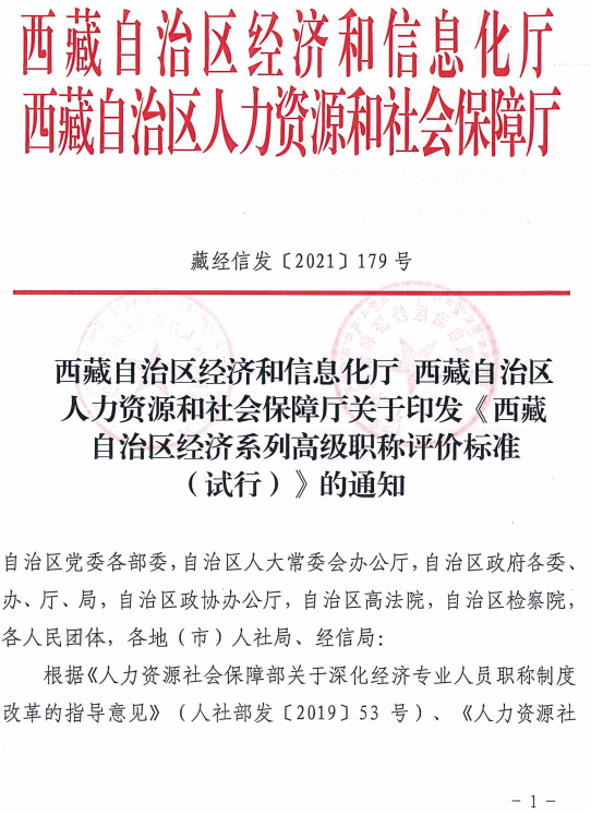 西藏高級經濟師評價標準（試行）1