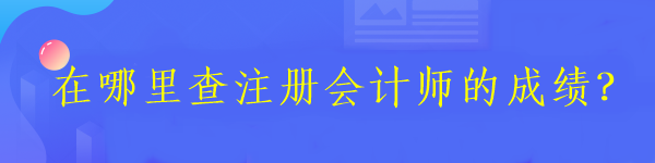 在哪里查注冊會計師的成績？