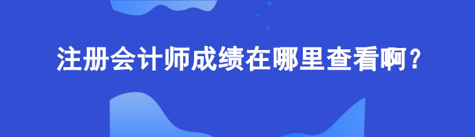 注冊會計師成績在哪里查看啊？