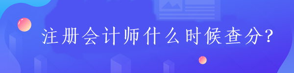 注冊會計師什么時候查分？