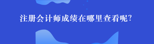 注冊會計師成績在哪里查看呢？44