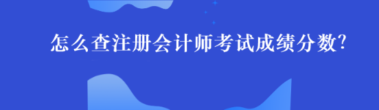 怎么查注冊會計師考試成績分數？