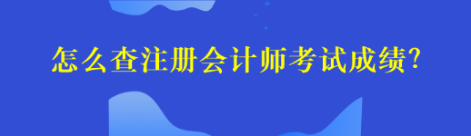 怎么查注冊會計師考試成績？