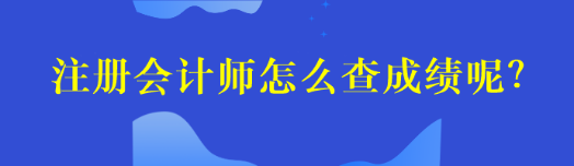 注冊會計師怎么查成績呢？
