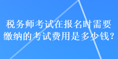 稅務師考試在報名時需要繳納的考試費用是多少錢？