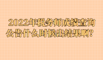 2022年稅務師成績查詢公告什么時候出結果啊？