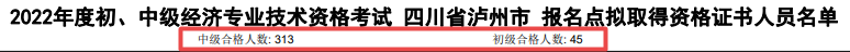 四川瀘州2022年初中級經(jīng)濟(jì)師合格人數(shù)