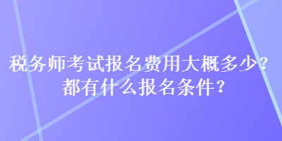 稅務師考試報名費用大概多少？都有什么報名條件？