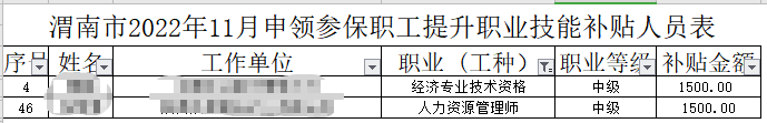 渭南經濟師技能補貼