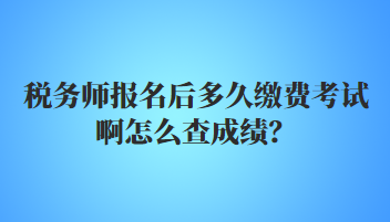 稅務師報名后多久繳費考試啊怎么查成績？