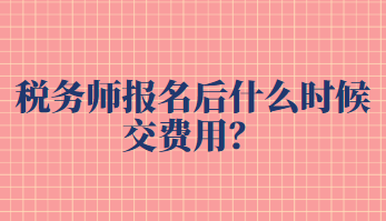 稅務師報名后什么時候交費用？