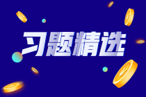 2023初級審計師《審計理論與實務》練習題精選（二十一）