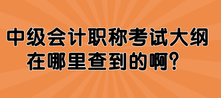 中級會計職稱考試大綱在哪里查到的啊？