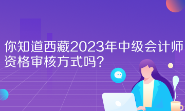 你知道西藏2023年中級會計師資格審核方式嗎？