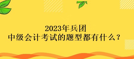 2023年兵團中級會計考試的題型都有什么？