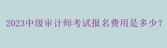 2023中級審計(jì)師考試報(bào)名費(fèi)用是多少？