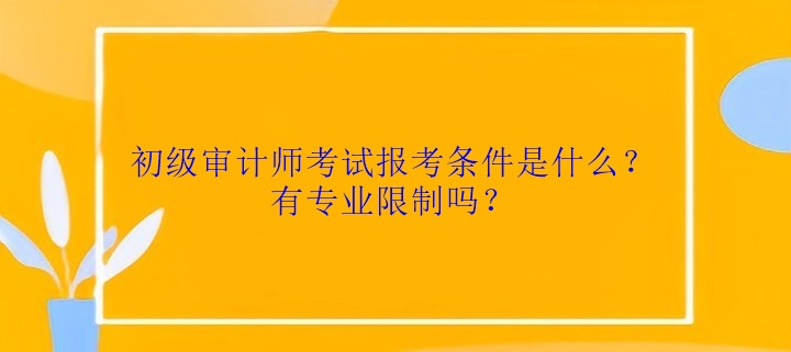 初級審計師考試報考條件是什么？有專業限制嗎？