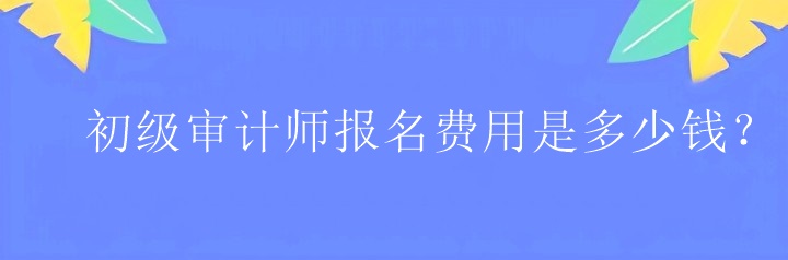 初級審計師報名費用是多少錢？
