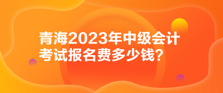 青海2023年中級(jí)會(huì)計(jì)考試報(bào)名費(fèi)多少錢？