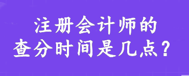 注冊會計師的查分時間是幾點？