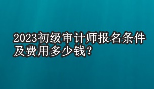 2023初級審計師報名條件及費用多少錢？