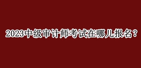 2023中級審計師考試在哪兒報名？