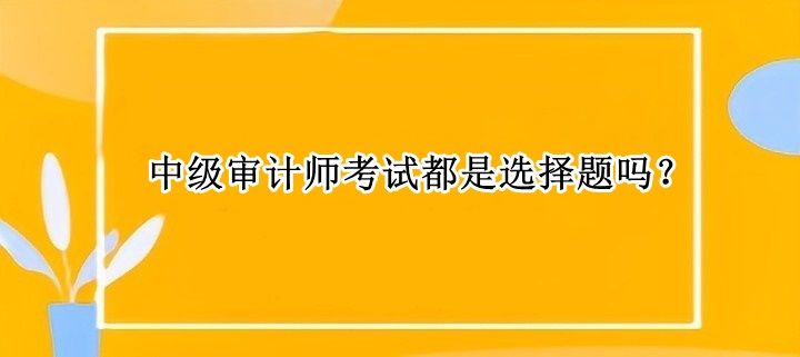 中級審計師考試都是選擇題嗎？