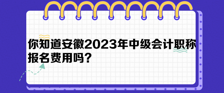 你知道安徽2023年中級(jí)會(huì)計(jì)職稱報(bào)名費(fèi)用嗎？