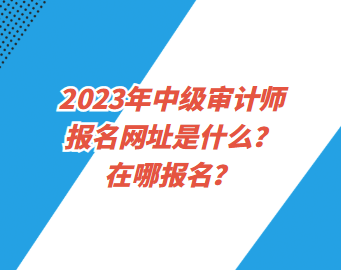 2023年中級審計師報名網址是什么？在哪報名？