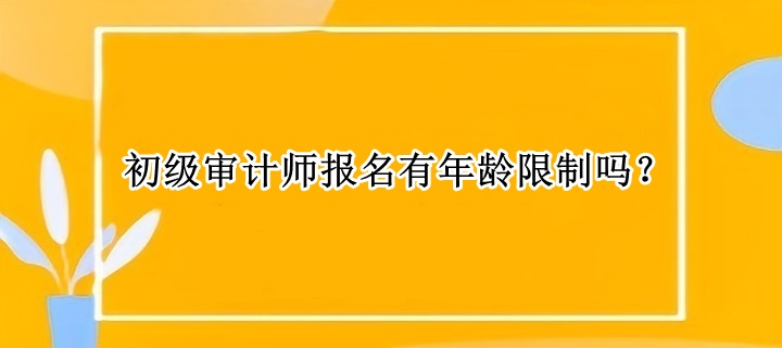 初級審計師報名有年齡限制嗎？