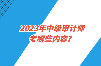 2023年中級審計師考哪些內容？