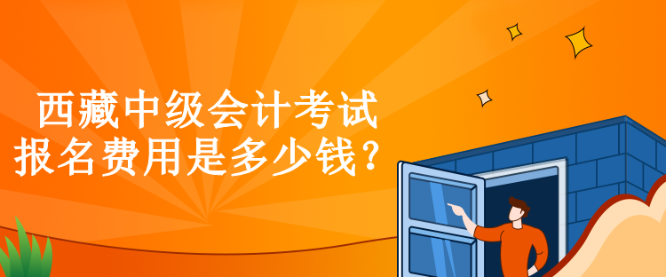 西藏中級(jí)會(huì)計(jì)考試報(bào)名費(fèi)用是多少錢(qián)？