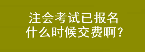 注會(huì)考試已報(bào)名 什么時(shí)候交費(fèi)啊？